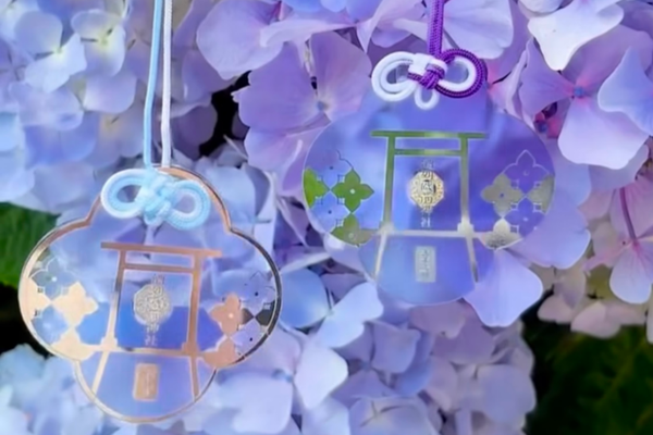 【上三川・宇都宮・真岡発着】大洗と酒列。願いが深まり海とアジサイが映える2社参りと海鮮満喫【昼食付】/ WEB割引5%引き2